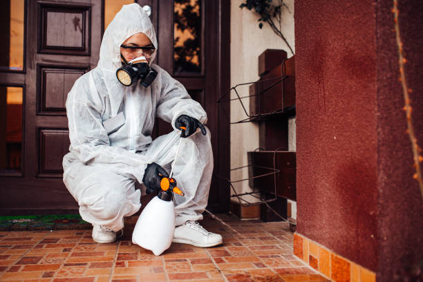 Reliable Cockroach Control contractor in Tallahassee, FL by Nex Pest Control